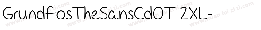 GrundfosTheSansCdOT 2XL字体转换